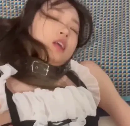 戴好项圈